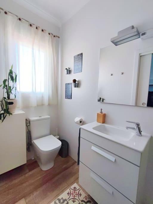 Bright And Quiet Studio In Málaga Exteriör bild